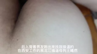 东南亚小金豆来黑龙江了